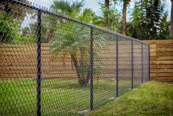 fence
