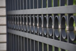 Ornamental iron