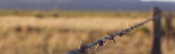 Farm/Ag