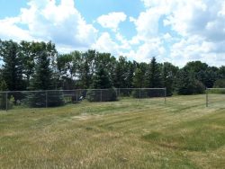 5' High Residential Chainlink