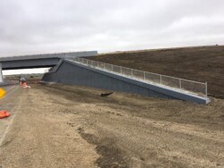 Bridge Safety Fencing