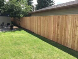 Cedar Wood Fence