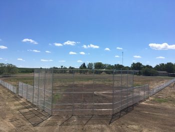 Chainlink Backstop