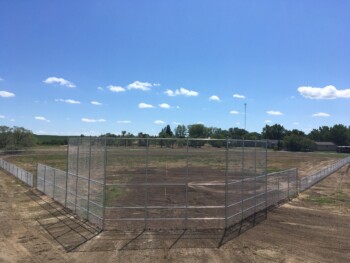 Chainlink Backstop
