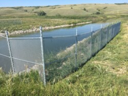 Commercial Dam Fencing