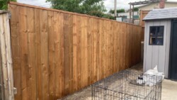 Brown Pressure Treated Wood