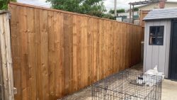 Brown Pressure Treated Wood