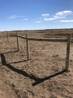 Barbed Wire Fence