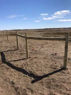 Barbed Wire Fence