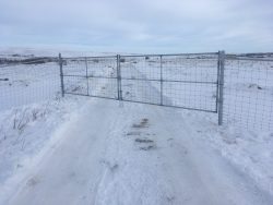 winter fence