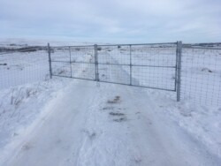 winter fence