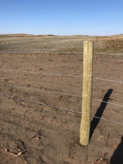 Barbed Wire Fence