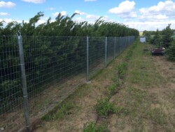 Game Fence