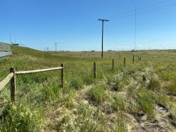Barbed Wire Farm Fence