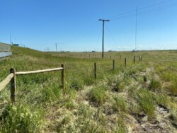 Barbed Wire Farm Fence